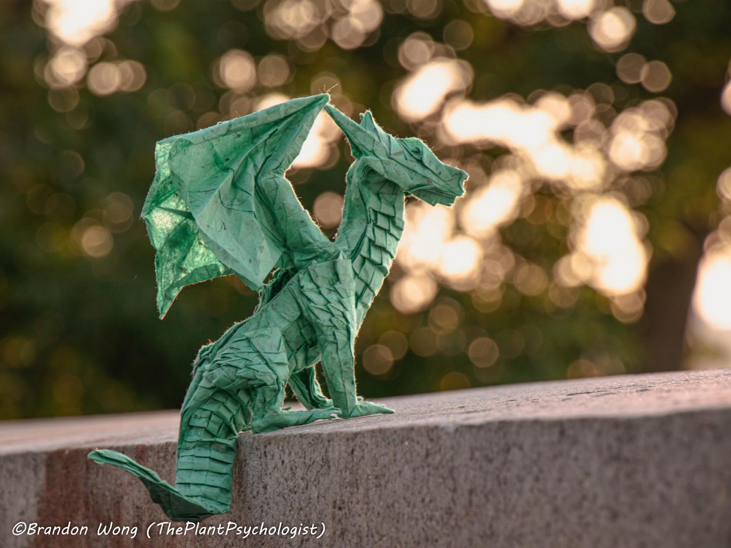 Award-Entry-2023-07-31-14:58:51 | CFC Origami